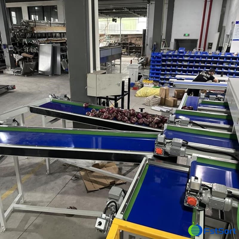 máquina clasificadora de verduras.jpg máquina clasificadora de verduras.jpg